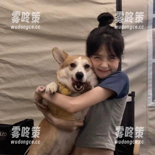 当国内吃瓜遇上网红视频网站，分享一波脑洞大开的奇葩视频！