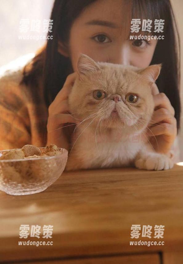 黑料不打烊 万里长征黑料不打烊,新版一拍即合,留下的都是永久回味。
