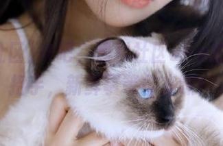 来吧，黑料社区app的入口正招手，新鲜事等你来嗦！